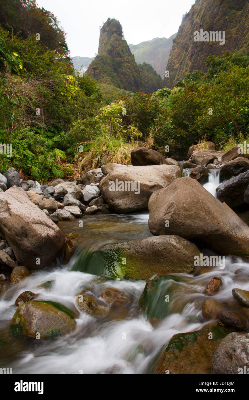 IAO Needle und Iao Valley State Monument, Maui, Hawaii. Stockfoto