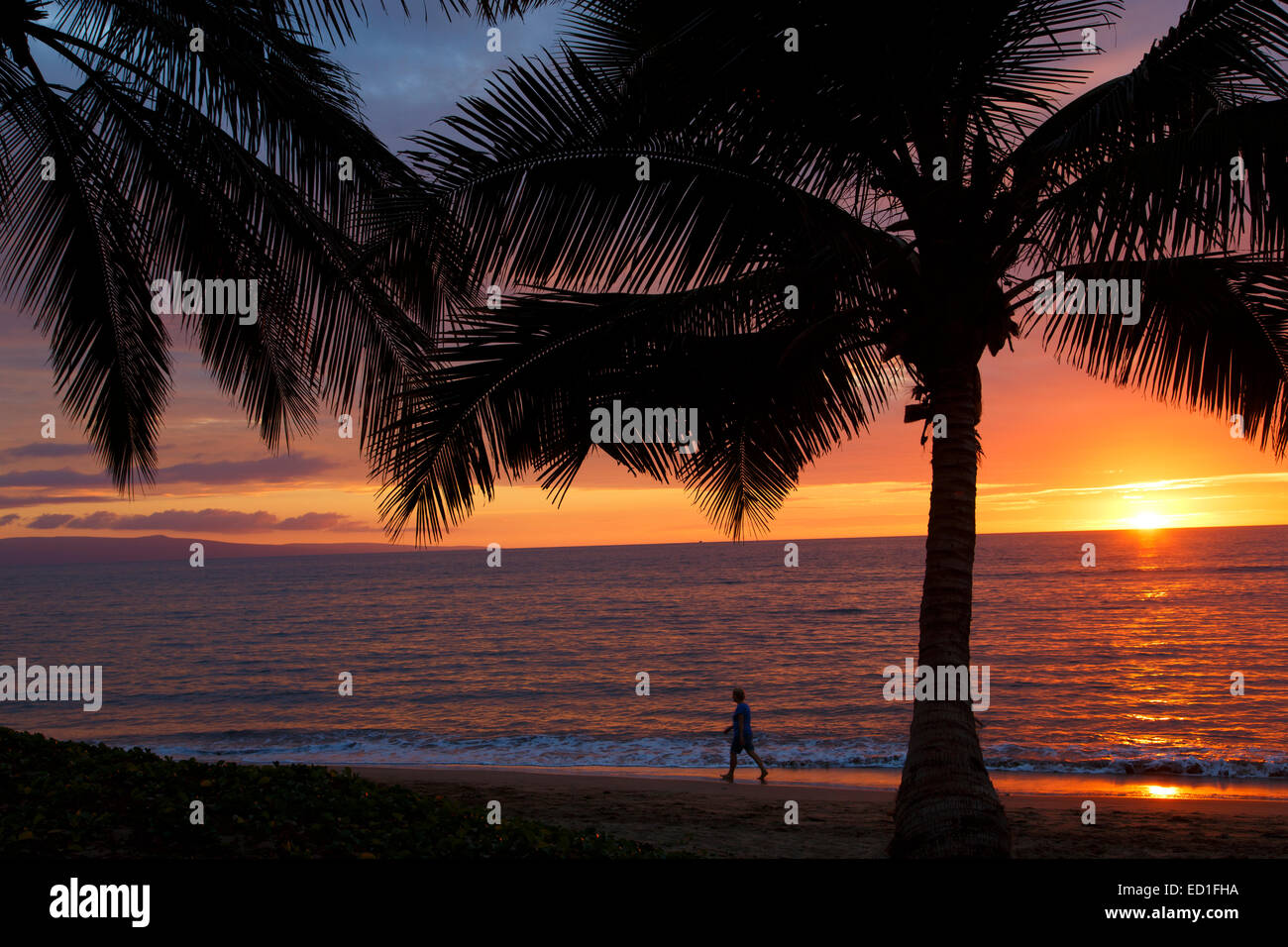 Sonnenuntergang am Mai Poina ' Oe La'u Beach Park, Maui, Hawaii Stockfoto