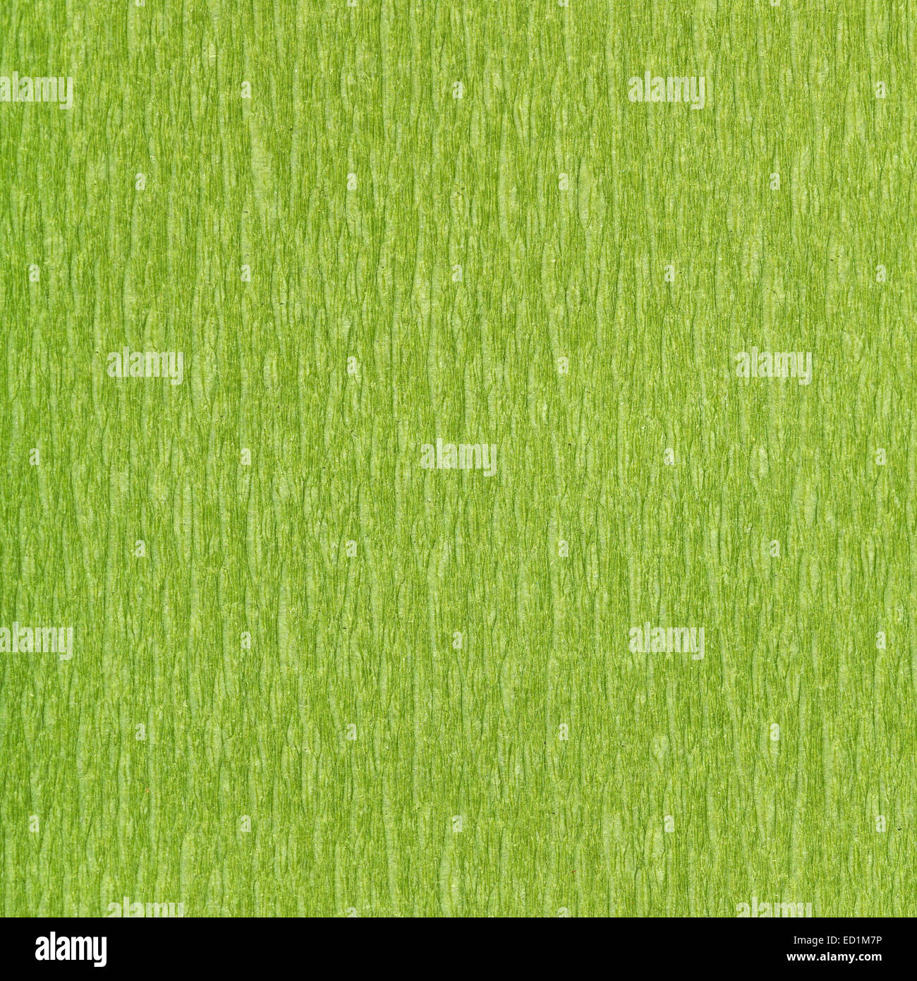 quadratischen Hintergrund aus faserigen Struktur Farbe grün Papier hautnah Stockfoto