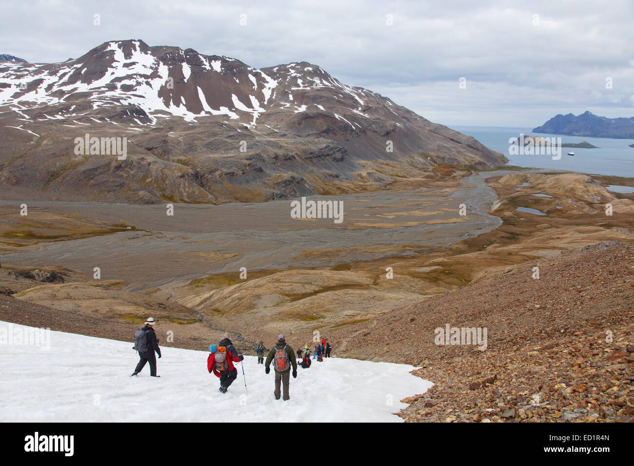 Besucher wandern zwischen Fortuna Bay und Stromness, der letzte Teil von Shackletons berühmten Wandern, South Georgia Island, Antarktis Stockfoto