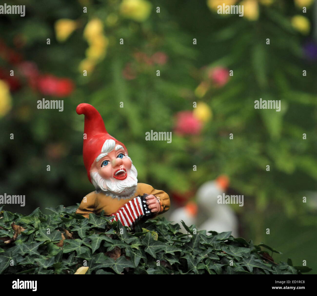 Kleine typische Garten Zwerg oder Gnom und amerikanische Flagge auf einem Busch Stockfoto