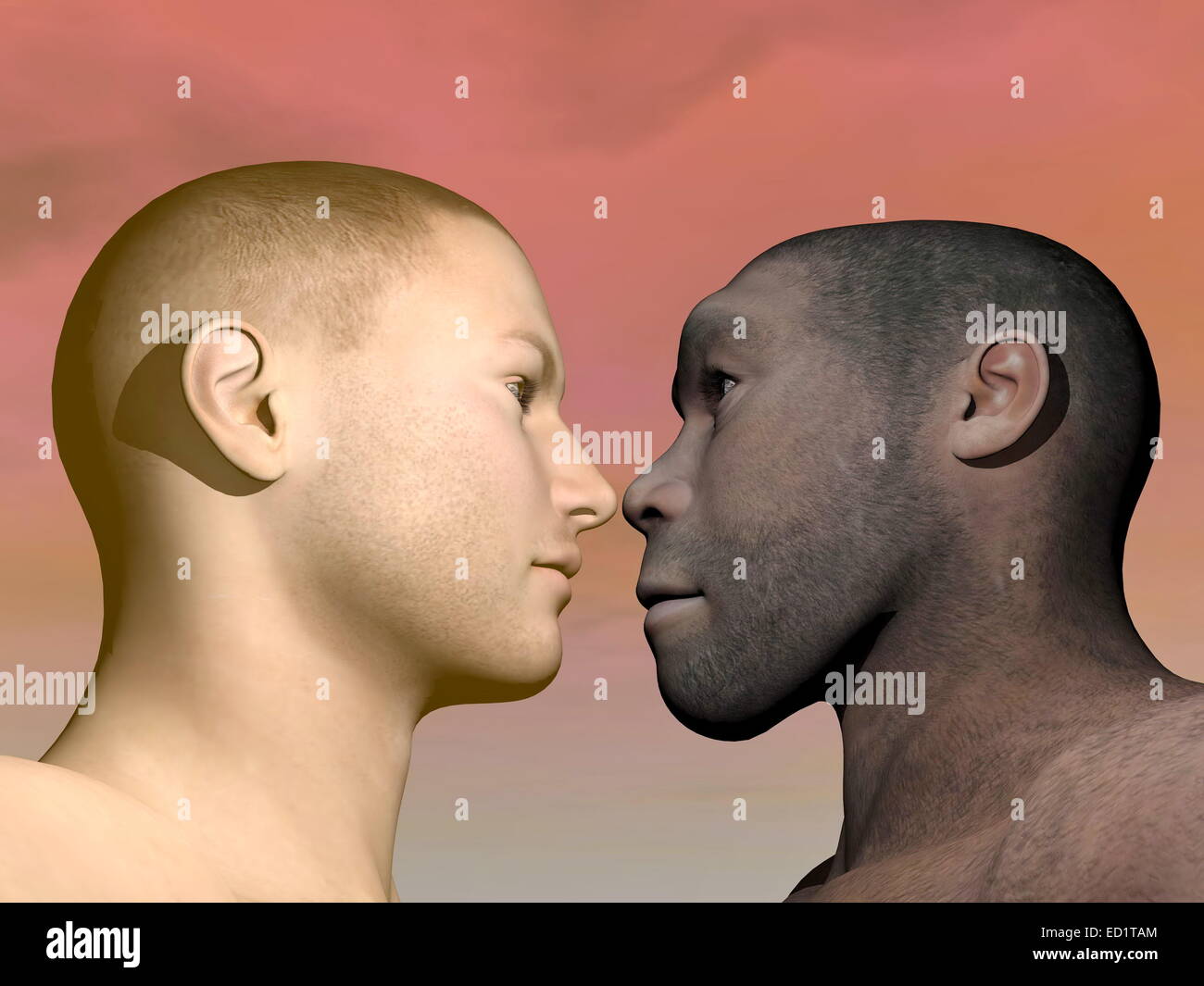 Ein Porträt des modernen Menschen nach Homo Erectus Menschen in bunten Hintergrund Stockfoto