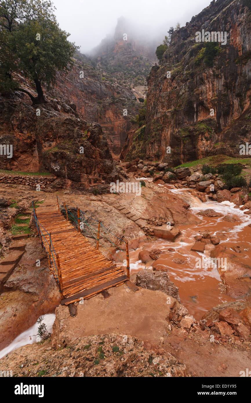 Wasserfälle. Ifrane-Nationalpark. Mittleren Atlas. Fez. Marokko. Nordafrika. Afrika Stockfoto