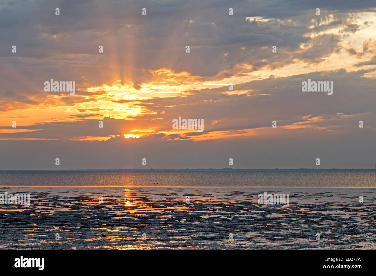 Sonnenuntergang im Wattenmeer, Ostfriesland, Niedersachsen, Deutschland, Europa Stockfoto