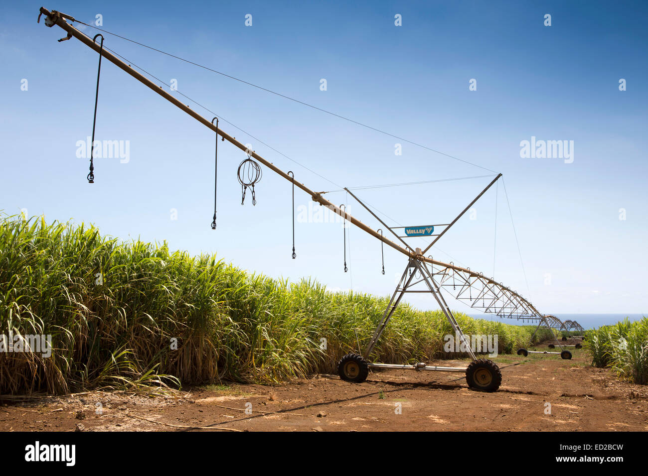 Mauritius, Albion, Landwirtschaft, Tal lineare Ernte Bewässerung Maschine in Zuckerrohr-Felder Stockfoto