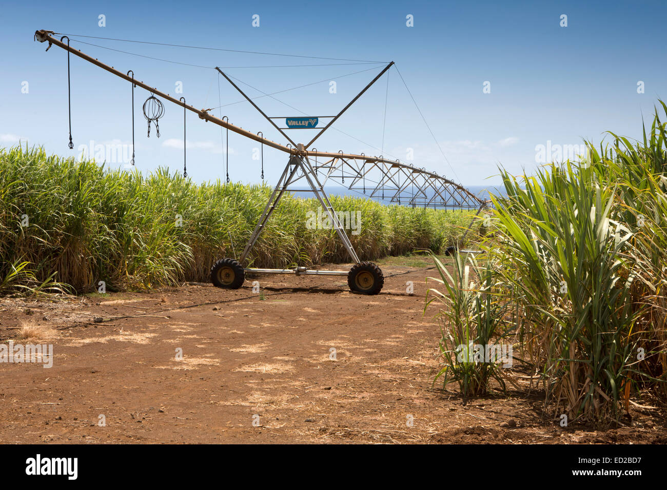 Mauritius, Albion, Landwirtschaft, Tal lineare Ernte Bewässerung Maschine in Zuckerrohr-Felder Stockfoto