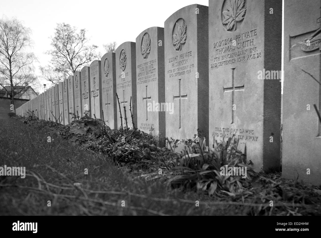 Ersten Weltkrieg Gräbern am Kriegerdenkmal, Faubourg de Amiens, Arras Stockfoto