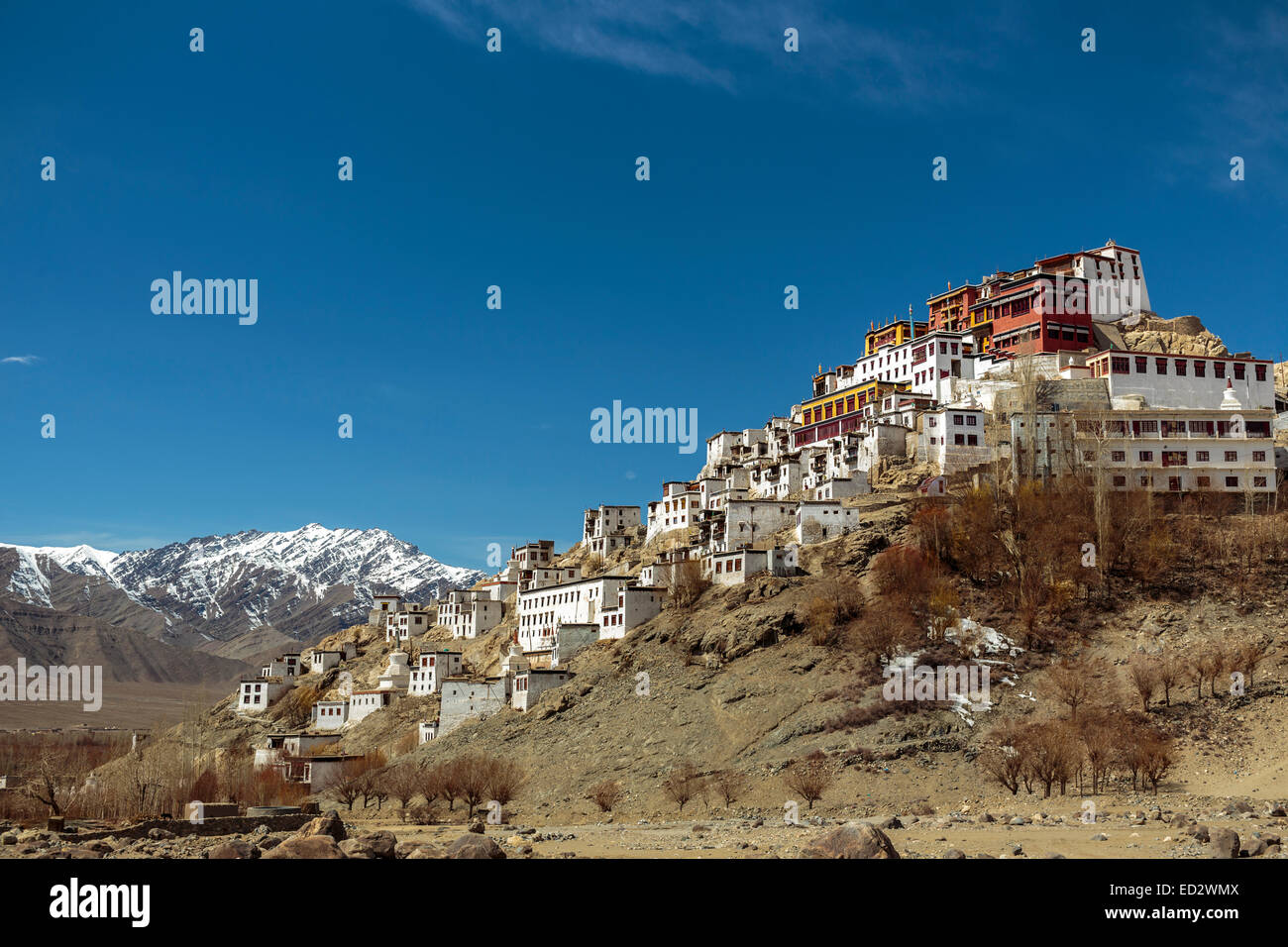 Thikse Kloster oben auf einem Felsvorsprung in der Indus Tal von Ladakh in Nordindien.  Dies ist ein tibetischer Stil buddhistischer Gompa. Stockfoto