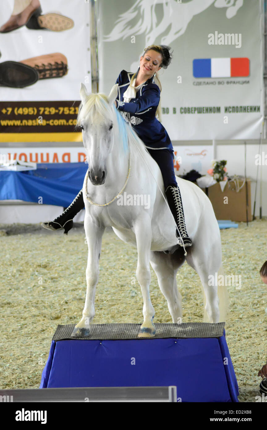 Internationale Reitturnier. Frau im blauen Kleid Reiterin auf einem weißen Pferd jockey. Stockfoto