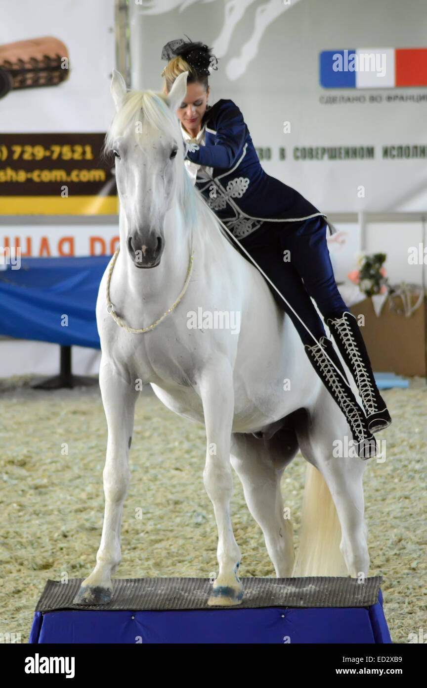 Frau Jockey im blauen Kleid International Horse Show. Reiterin auf einem weißen Pferd. Reithalle Stockfoto
