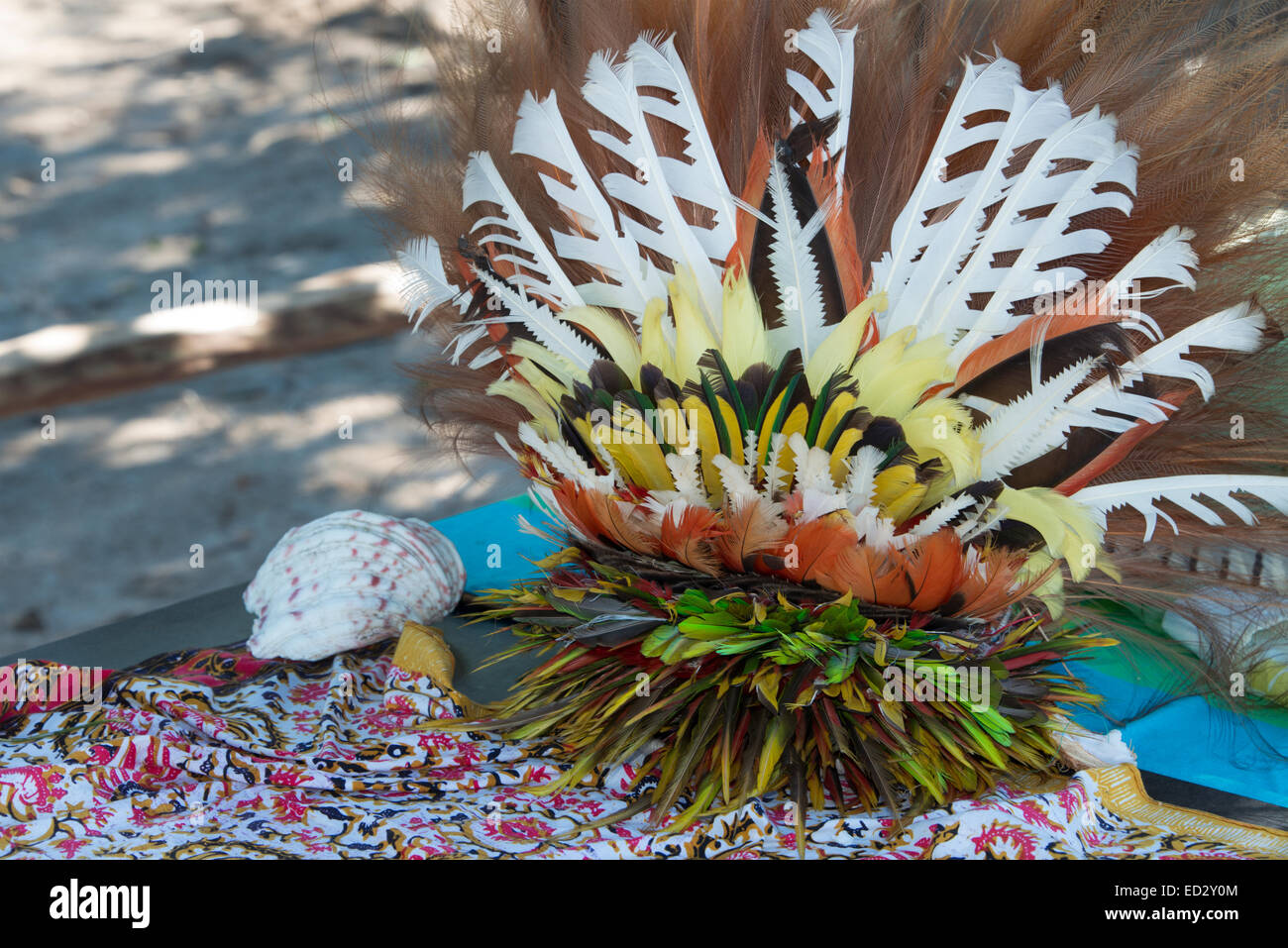 Melanesien, Papua Neu Guinea, Tufi. Dorf ist bekannt für ihre kunstvollen tropischer Vogel Federn Kopfbedeckungen. Feder Kopfschmuck. Stockfoto