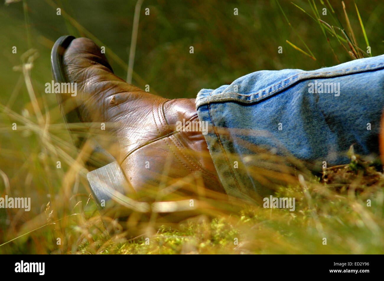 Mann auf einer Wiese an einem sonnigen Tag entspannend Stockfoto