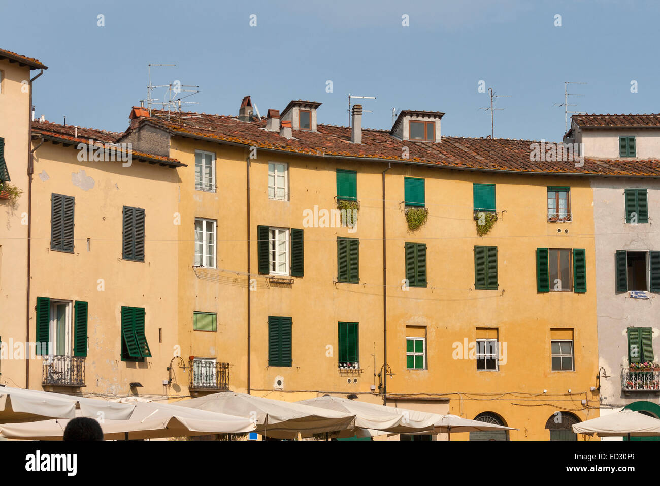 Wohngebäuden auf ovale Amphitheater Platz in Lucca, Toskana, Italien Stockfoto
