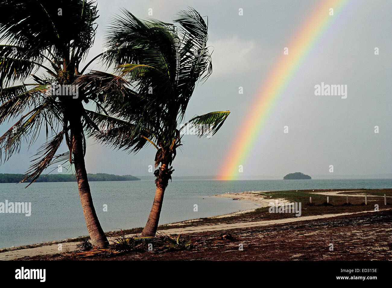 Regenbogen und Palmen Bäume auf Sanibel Island Causeway, Florida Stockfoto