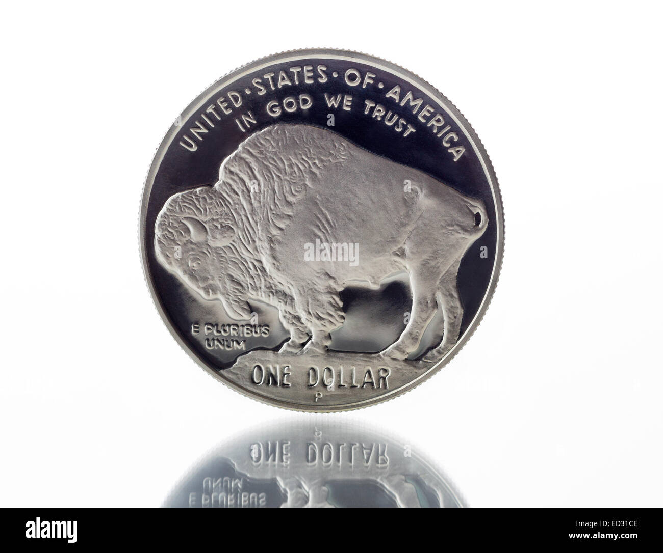 Nahaufnahme von Buffalo Silberdollar mit vollen Felgenstern auf weiß mit Reflexion Stockfoto