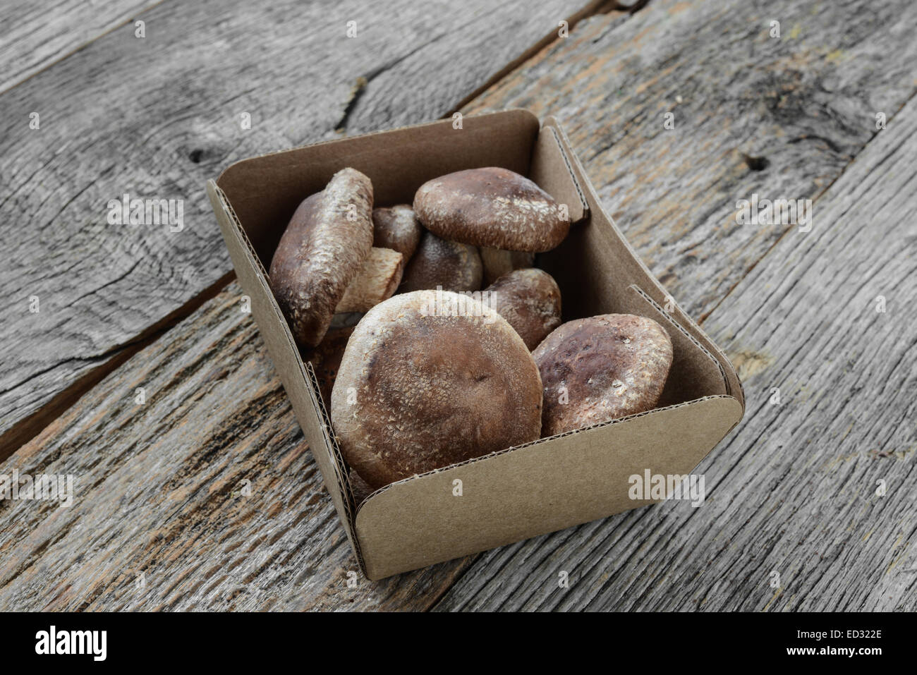 Shitake Pilz in Kartonagen auf Holz Hintergrund Stockfoto