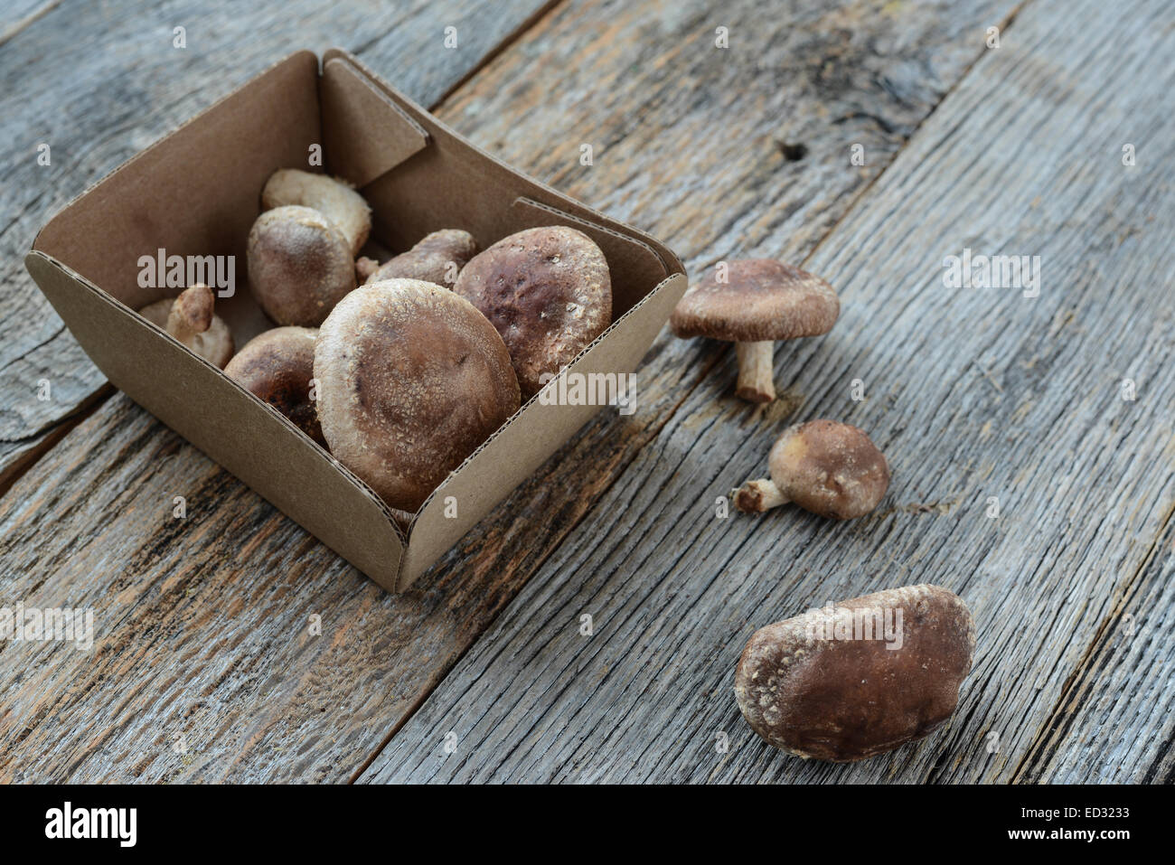 Shitake Pilz in Kartonagen auf Holz Hintergrund Stockfoto