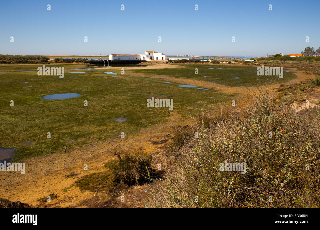 Die alten Salinen bei Ebbe, Quinta de Marim, Bestandteil der Naturpark Ria Formosa, in der Nähe von Faro, Algarve, Portugal. Stockfoto