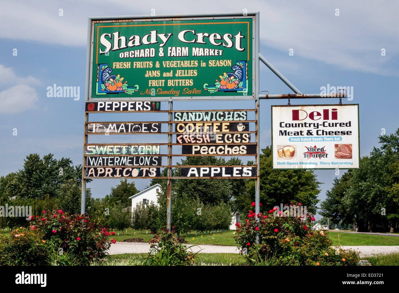 Illinois Arthur, Shady Crest Orchard & Farm Market, Schild, Produkte, lokal angebaut, Amish, IL140904037 Stockfoto