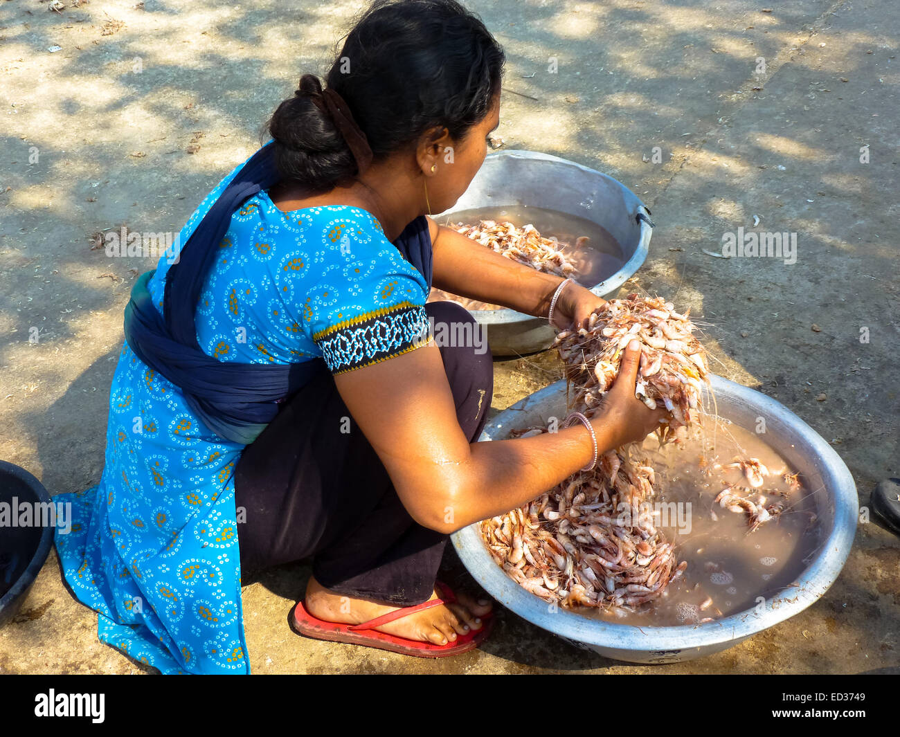 Frau waschen Garnelen bei Street in Diu, Indien Stockfoto