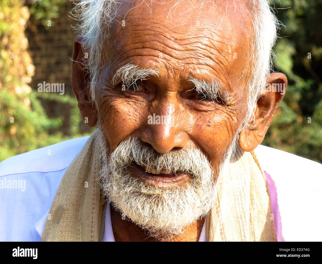 Porträt des alten Mannes mit Bart in Gujarat in Indien Stockfoto