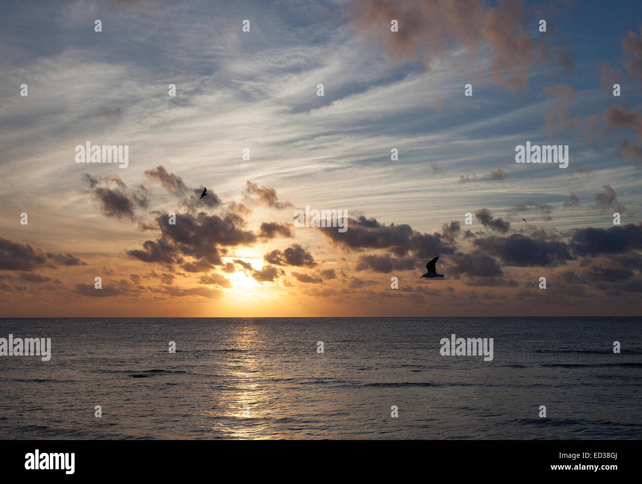 Sonnenuntergang, Lady Elliot Island, Great Barrier Reef, Australien Stockfoto