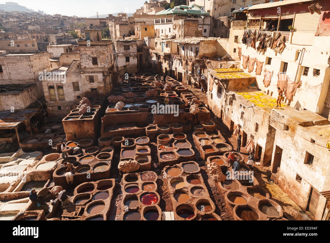 Mann, der arbeitet. Gerbereien. Fes El Bali. Fez. Marokko. Nordafrika. Afrika Stockfoto