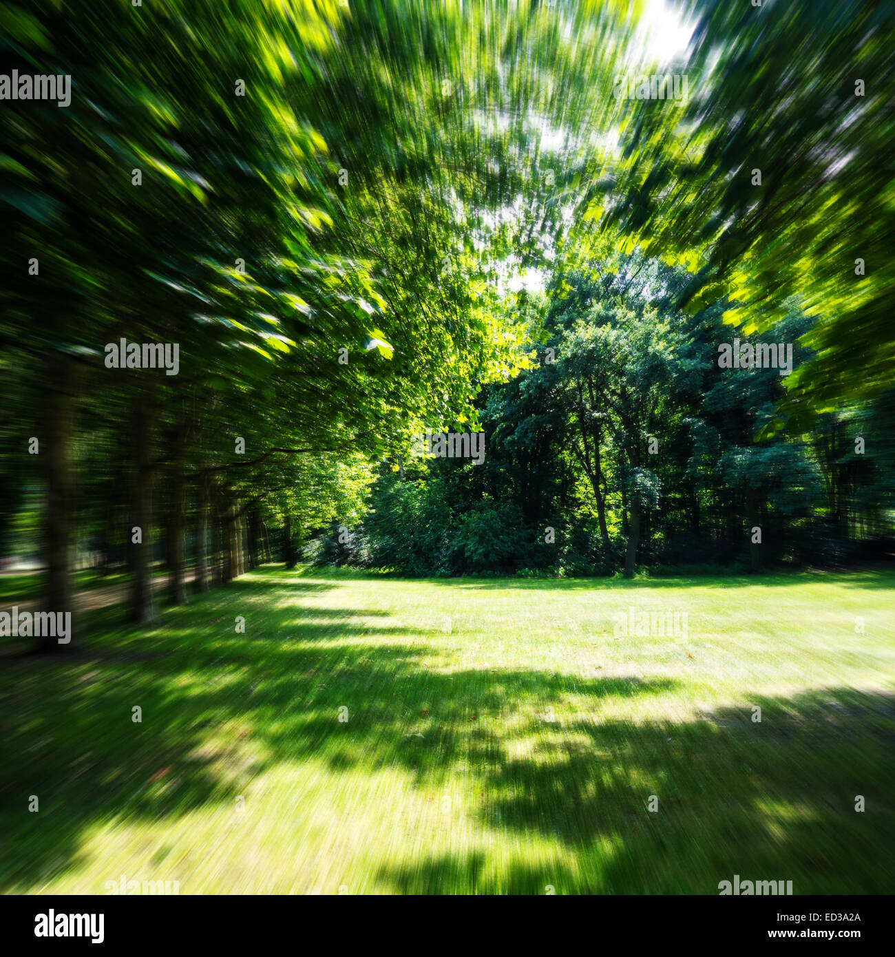Tiergarten mit grünen Bäumen und Wiese im Sommer (unscharf) Stockfoto Tiergarten mit grünen Bäumen und Wiese im Sommer (unscharf) Stockfoto