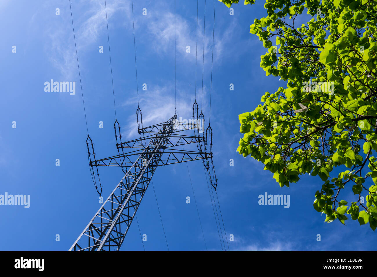elektrische Turm, blauen Himmel und grüne Blätter im Frühjahr (Ökostrom) Stockfoto