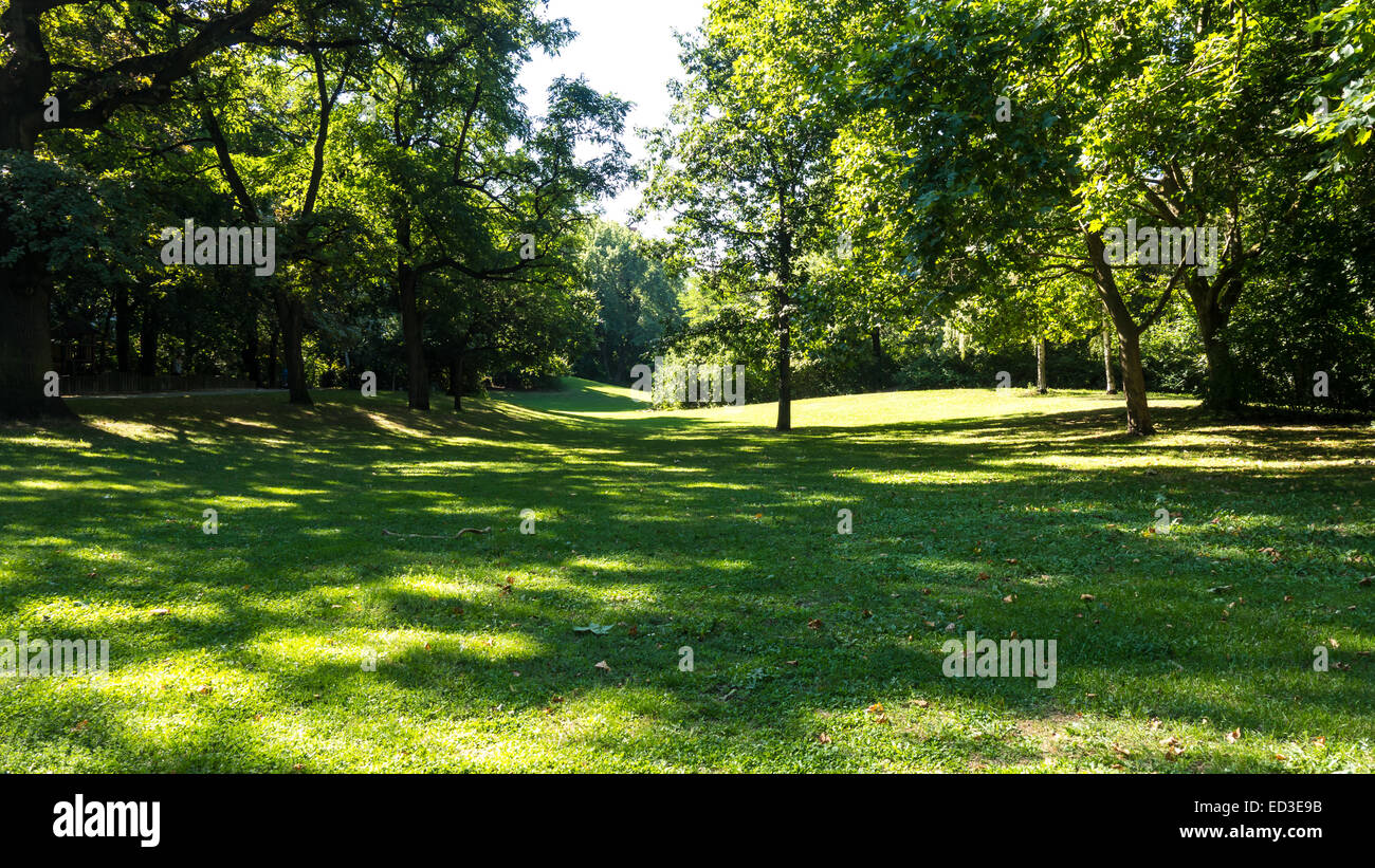 Park mit einer Wiese und grünen Bäumen im Sommer Stockfoto Park mit einer Wiese und grünen Bäumen im Sommer Stockfoto