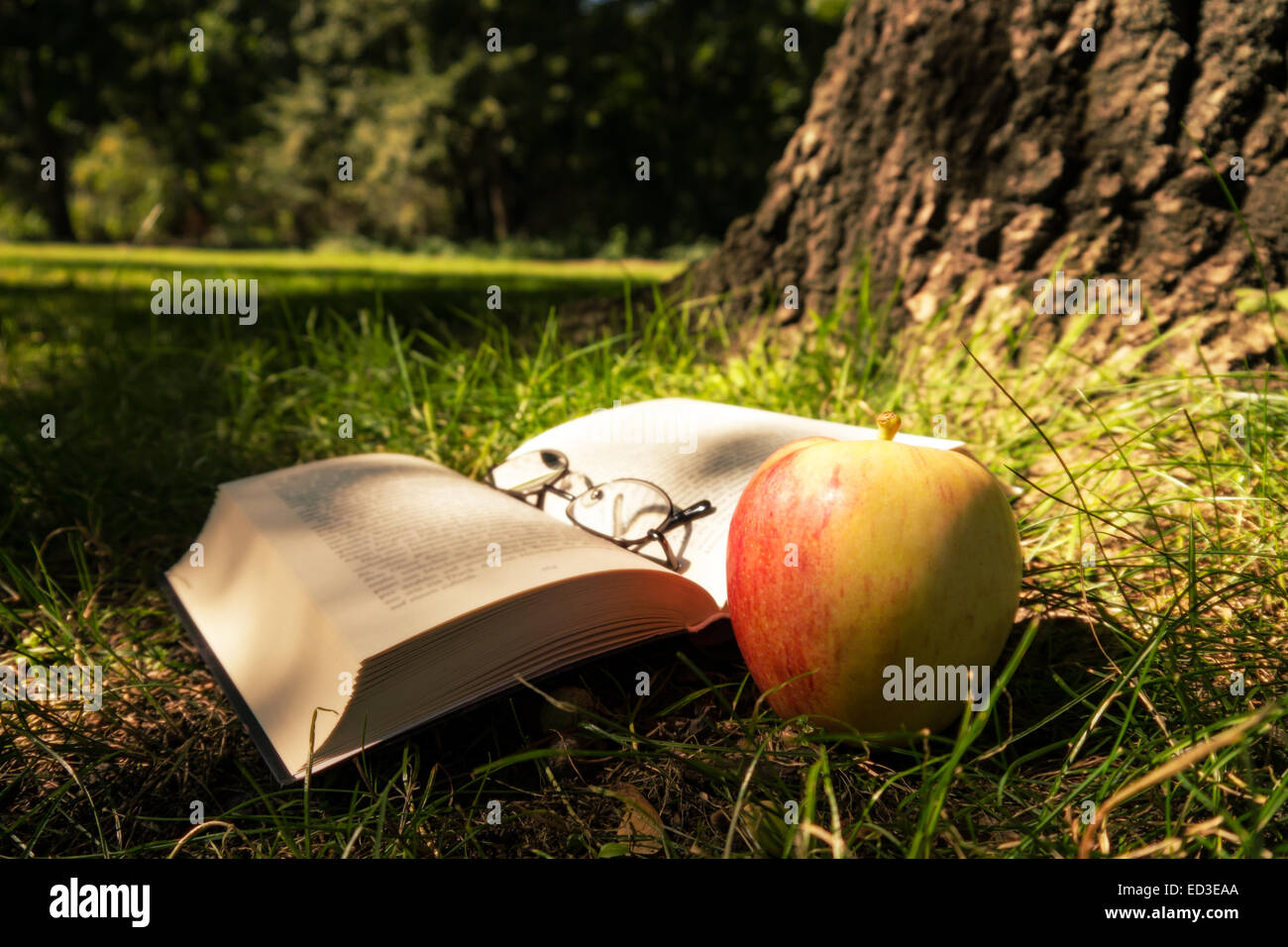 Buch, Brille, Apfel auf Waldboden Stockfoto