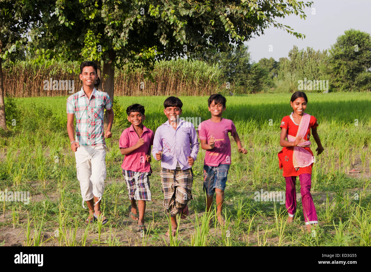 indische ländlichen Kinder Gruppe Bauernhof Spaß Stockfoto