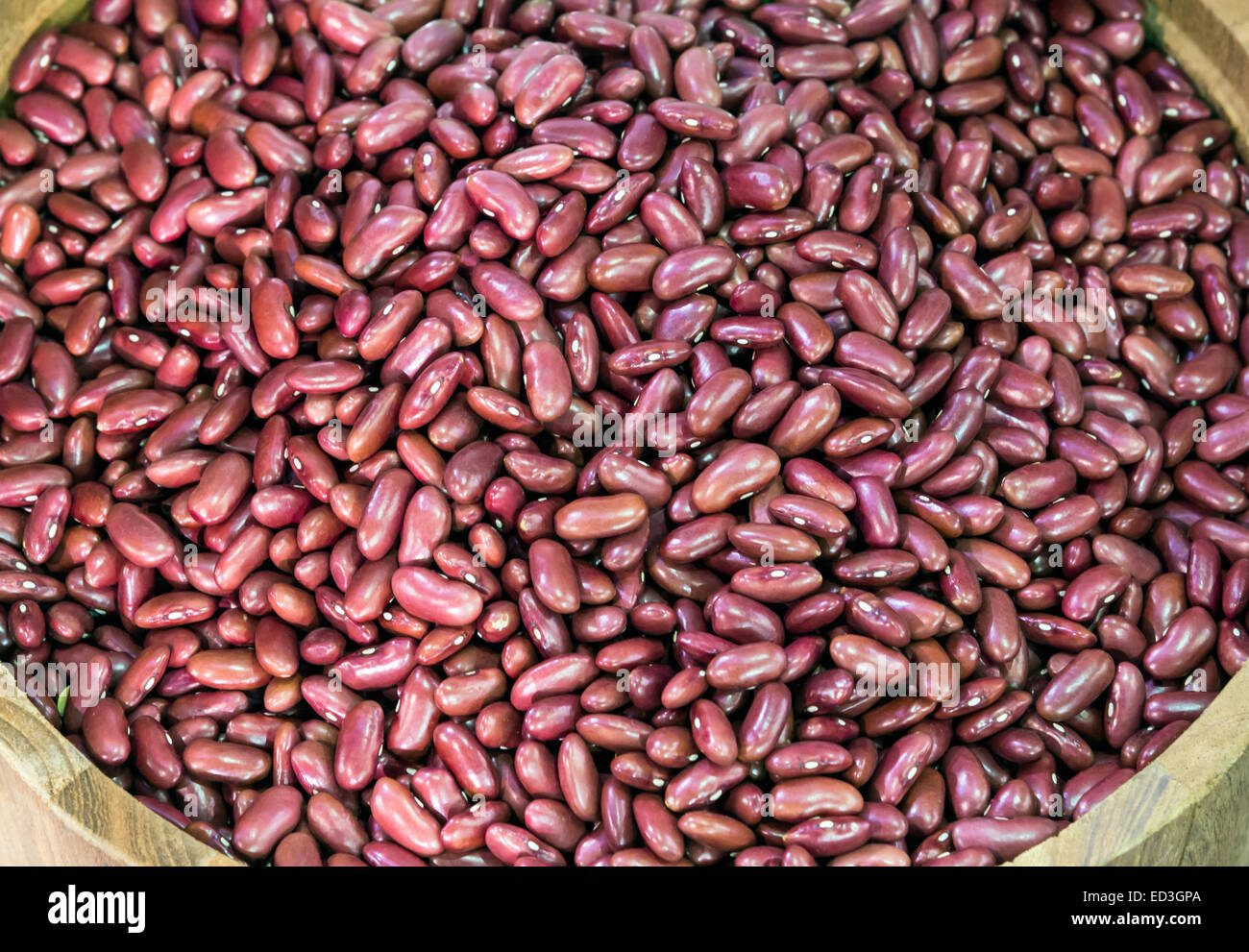 Frische Rote Bohne in der Holzeimer. Stockfoto