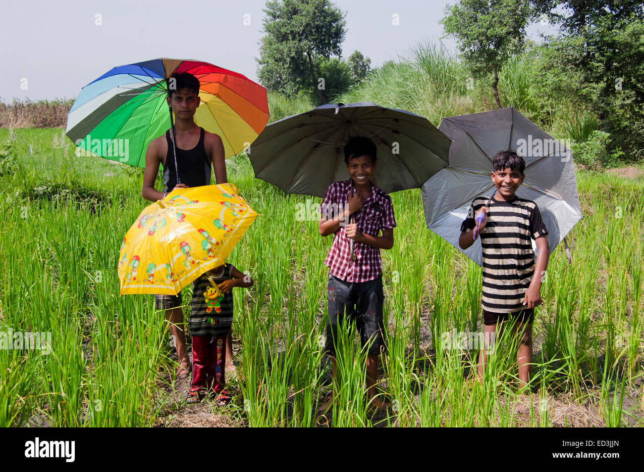 indische ländlichen Kinder Jungs halten Dach Regensaison genießen Stockfoto