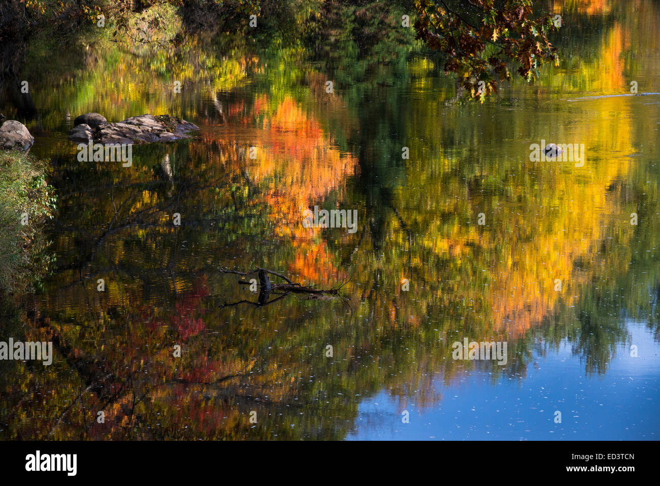 Herbst Reflexion über New Hampshire Fluss Stockfoto