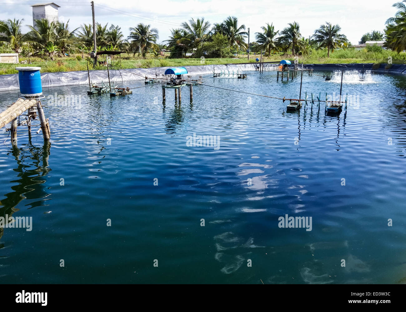 Garnele-Teiche in der Landschaft von Thailand. Stockfoto