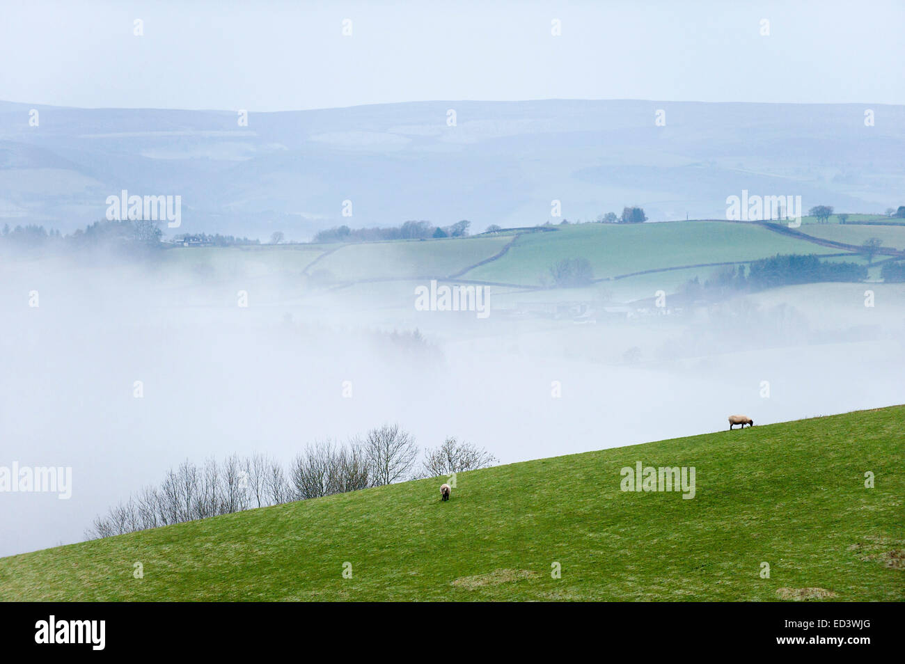 Builth Wells, Powys, UK. 26. Dezember 2014. Die Temperaturen sanken um ein Einfrieren der letzten Nacht in vielen Teilen der Mid Wales. Am frühen Morgen vor dem Regen begann gab es Frost und Cloud in den Tälern. Bildnachweis: Graham M. Lawrence/Alamy Live-Nachrichten. Stockfoto
