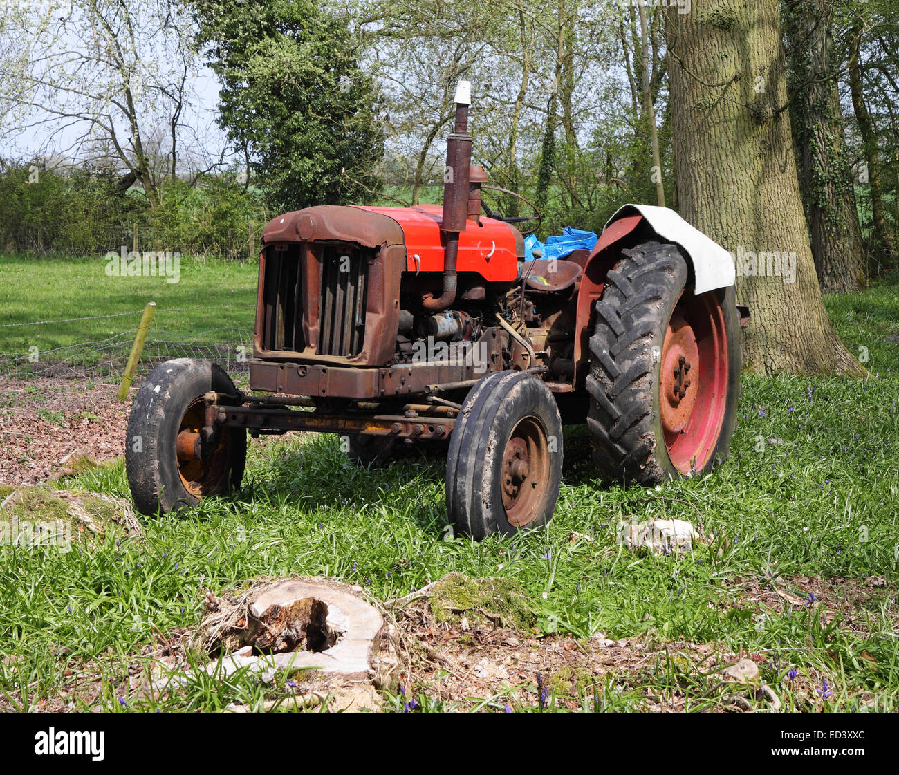 Alte rostige Traktor in einem englischen Waldlichtung im Frühjahr Stockfoto