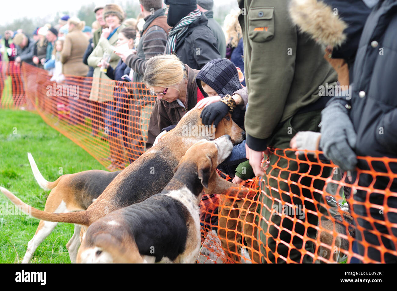 Auto Colston, Nottinghamshire, UK.26th Dezember 2014. Süden Notts Hunt statt ihrer jährlichen Boxing Day Jagd in Nottinghamshire Dorf von Car Colston. Eine Schar von rund vierhundert fünf entpuppen an einem kalten frostigen Morgen, sie zu sehen. Bildnachweis: IFIMAGE/Alamy Live-Nachrichten Stockfoto