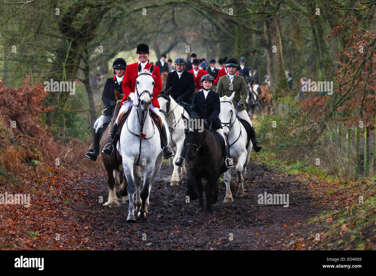 Rivington, Horwich in der Nähe von Bolton, Lancashire.  26. Dezember 2014: Susan Simmons von Preston, wer der Senior Lady Meister der Holcombe Hunt, auf ihrem Pferd Taffy, bei Rivington wo Pferde und Reiter für die jährliche Boxing Day Jagd sammeln. Bildnachweis: Cernan Elias / Alamy Live News Stockfoto