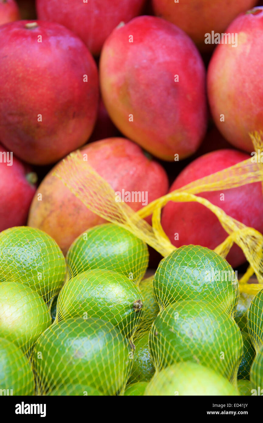 Frische rote Mangos und glänzend grünen Limetten auf Outdoor-brasilianische tropischen Bauernmarkt in Rio De Janeiro Brasilien Stockfoto