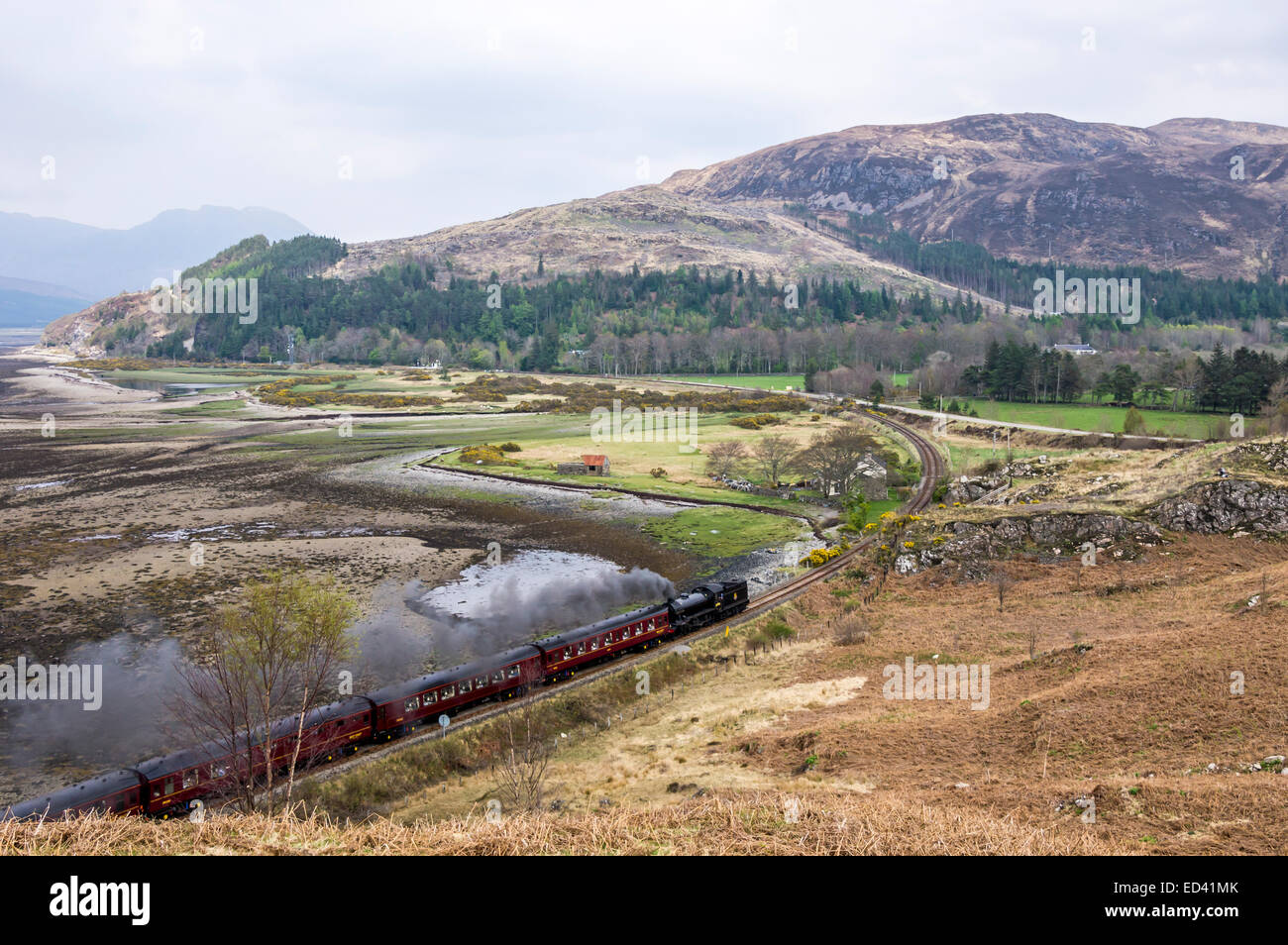 Dampfmaschine K4 61994 The Great Marquess zieht einen besondere Dampfzug zurück in Richtung Inverness von Kyle of Lochalsh in Schottland Stockfoto