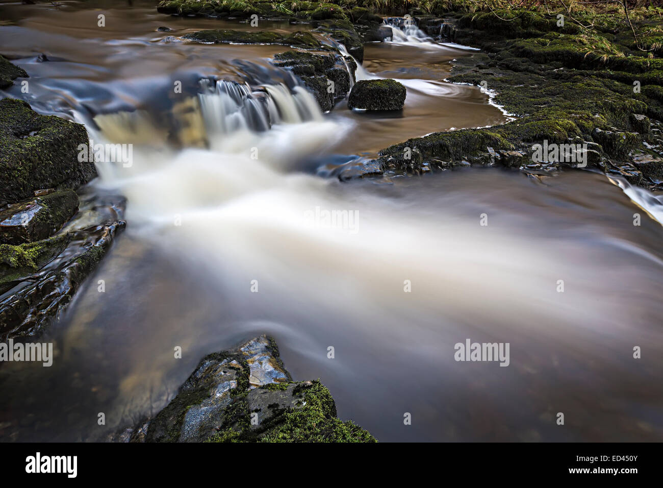 Kaskade an den Wasserfällen gehen, Pontneddfechan, Wales, UK Stockfoto