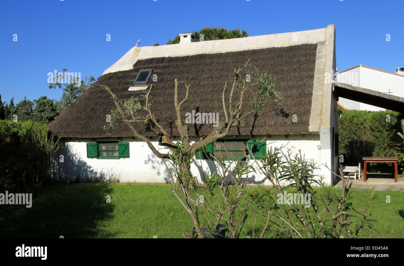 Traditionelle "Hüterin" Haus und Garten mit herrlichem Wetter, Camargue, Frankreich Stockfoto