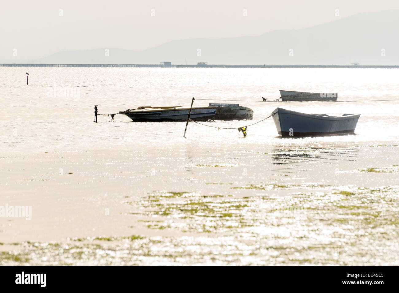 Angelboote/Fischerboote vertäut im Ebro-Delta bei Sonnenuntergang, Sant Carles De La Ràpita, Katalonien, Spanien Stockfoto