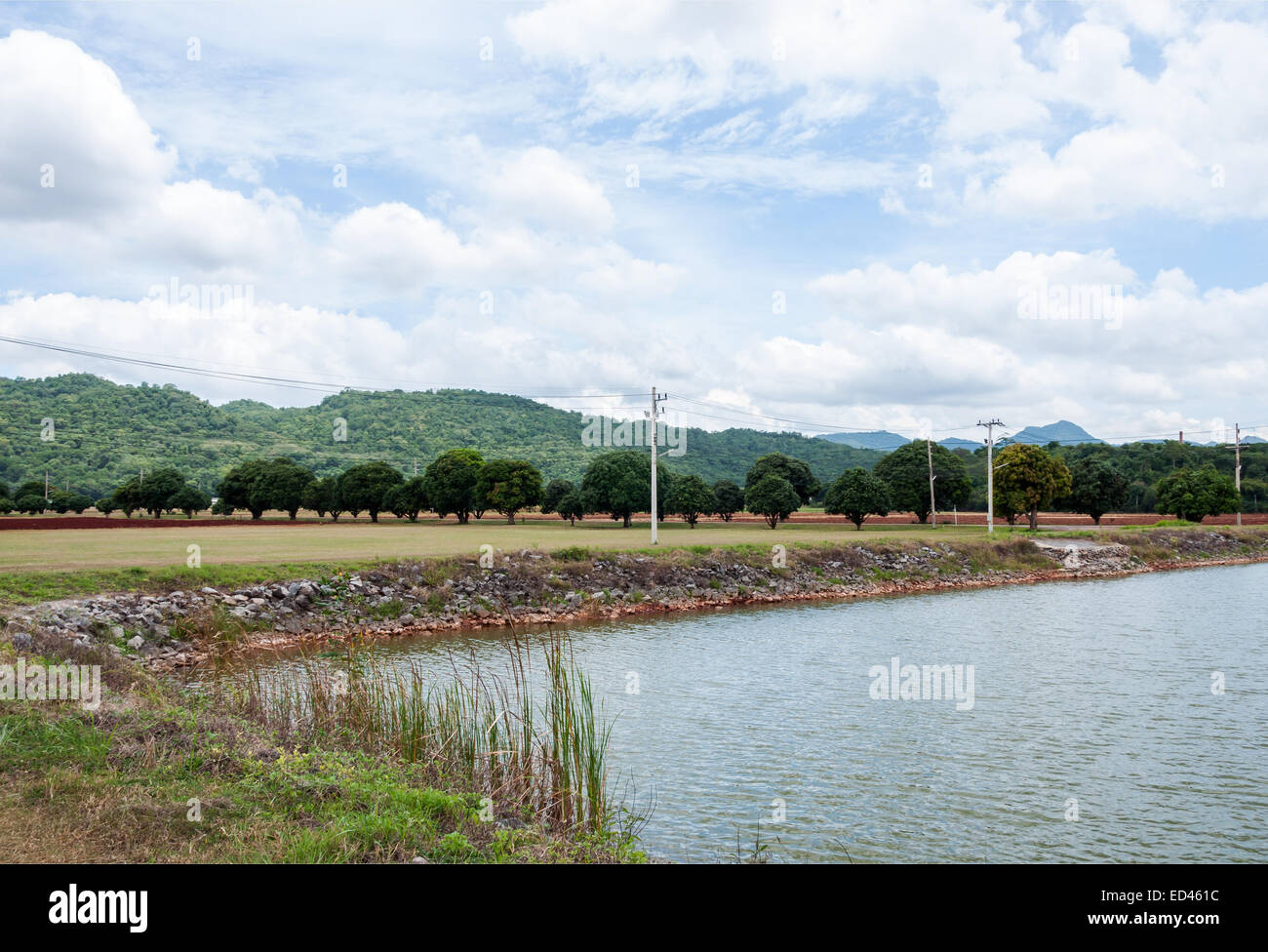 Kleinen Stausee der Landschaft Farm. Stockfoto