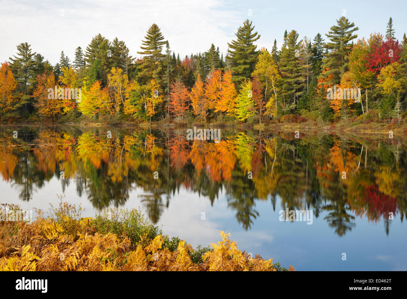 Pontook-Stausee am Androscoggin River entlang Route 16 in Dummer, New Hampshire USA während der Herbstmonate Stockfoto