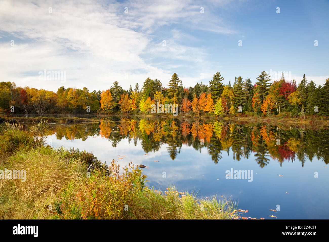 Pontook-Stausee am Androscoggin River entlang Route 16 in Dummer, New Hampshire USA während der Herbstmonate Stockfoto