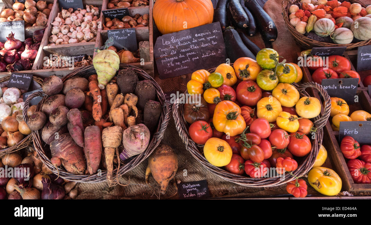 Gemüse der Saison in verschiedenen Behältern und Körbe auf einem Stall Kürbisse Kürbisse, root veg Tomaten Stockfoto