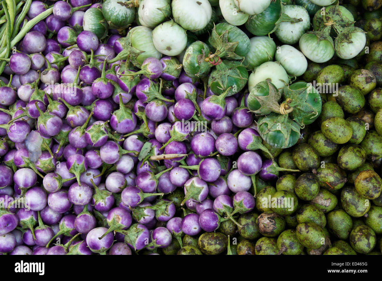 Auberginen Sorten zum Verkauf auf Markt, Laos Stockfoto